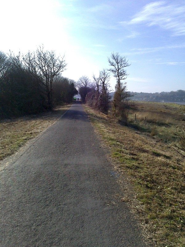 The Trail at Westleigh
